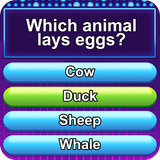 com.zd.answer