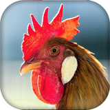 com.farad.entertainment.kids_ringtone