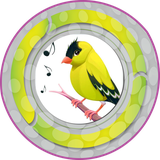 com.nazdooneh.canary