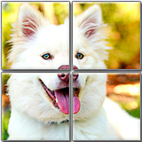 puzzle.animal