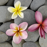 com.blackbirdwallpapers.stonesinwater