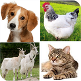 russian.animals.names.with.sounds