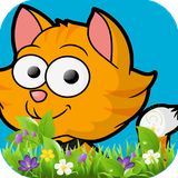 com.cat.softnet