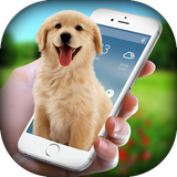 zohani.app.dogscreen