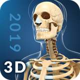 com.visual3dscience.skeleton