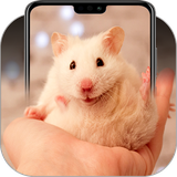 com.panic.bubbles.cute.hamster.background.wallpapers
