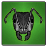 br.com.animvs.ants