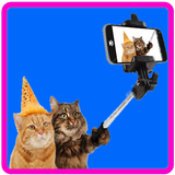 com.selfi.animal
