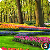 com.Sadroid.Wallpaper.Spring