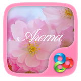 com.gau.go.launcherex.theme.Aroma.free