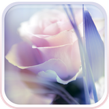 com.RoseLiveWallpaperHQ