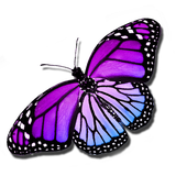 application.WomanCalendarLite.nature