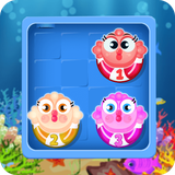 saibork.team.fishpuzll