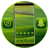 alice.green.field.theme