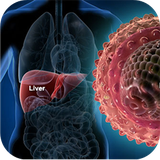 king.hepatit