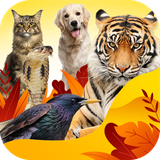 ir.tinasoft.animals_knowledge_2