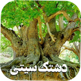 com.app.myapp.dashtakcity