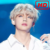 com.gilangapps.kimtaehyungwallpaperhd