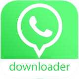 mreza.downloader