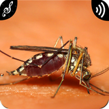com.appsbrand.mosquitosounds