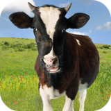 com.andromo.dev230101.app214349