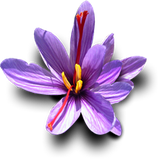 com.abed.aghdasigmail.com.torbat