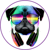 ir.mori.mr.dog