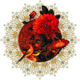 com.amir.towhid