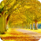 com.scenery.wallpaper.scenerydulalwallpaper