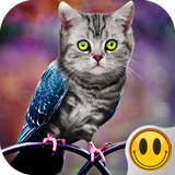 ru.smileappsandgames.simulatormorphanimal