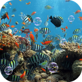 com.alx.aquariumlwp