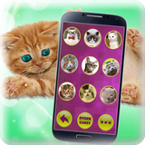 com.animal.translator.cat.translate.free.prank