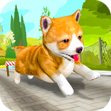 com.satsuma.pet.runner