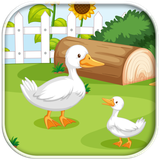 air.EscapeZone15DuckEscape