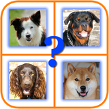co.zeuslab.dogs