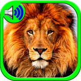 animalsounds.ringtonesforyou
