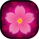 com.bravo.sakura.flower