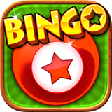 com.lunavalley.bingovip