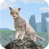 com.clan.of.cats