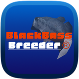 che.guevara.jun.blackbassbreeder