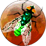 com.revigames.galacticinsects