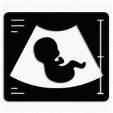 ir.shina.sonografi