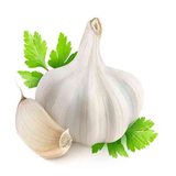 com.topdata.garlic
