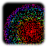 com.toxictom.particleplaylite