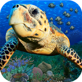 com.popartoys.sealifebook