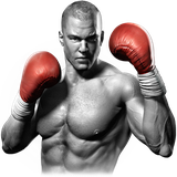 com.bluegames.boxer