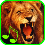 com.tmusic.animals