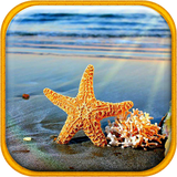 com.cpe.summerlivewallpaper