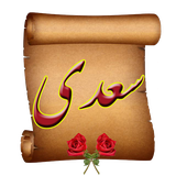 com.vfpsite.Saedi_V_