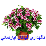 com.houseplants